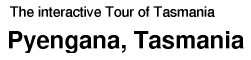 Tour of Tasmania: Pyengana