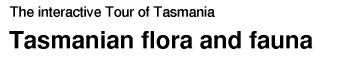 Tasmanian flora and fauna