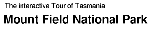 Tour of Tasmania: Mt. Field National Park